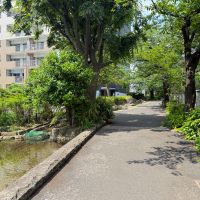 新宿区北新宿の売買物件/建物は神田川沿いに立っていて、緑道がある
