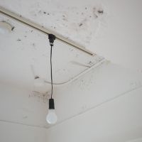 杉並区阿佐谷南の賃貸物件/ライティングレールと黒いペンダントライトが備え付けです