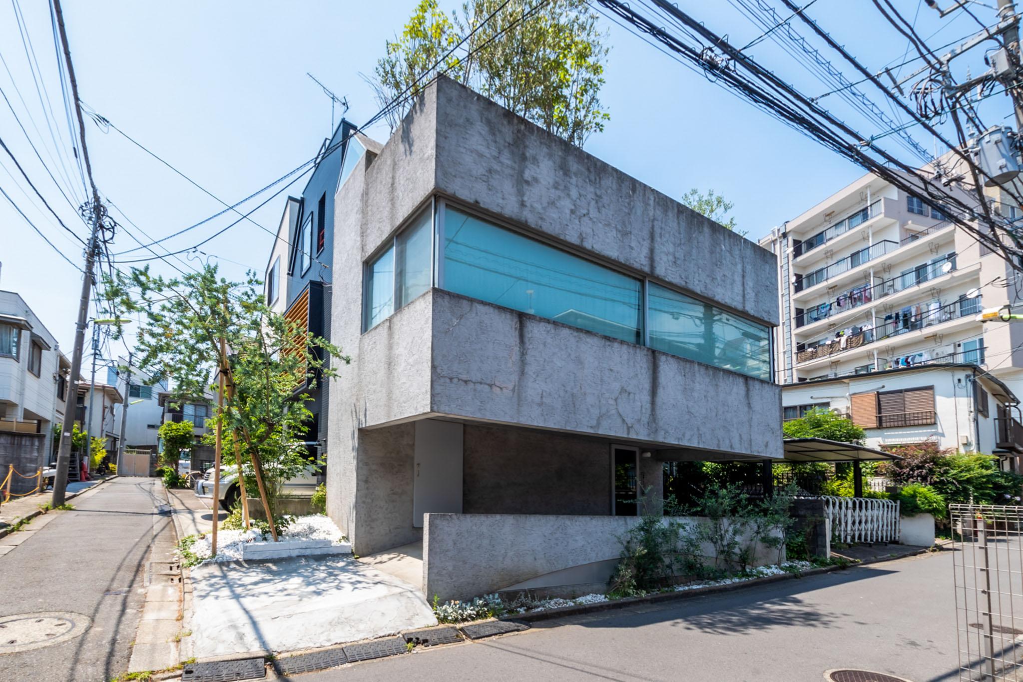 世田谷区三軒茶屋の売買物件/南東の角地にどんと。屋上から樹が顔を出していて、この一角だけ妙に野生！
