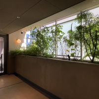 墨田区本所の賃貸物件/アプローチにも緑が添えられ、気持ちよく部屋へと向かえます