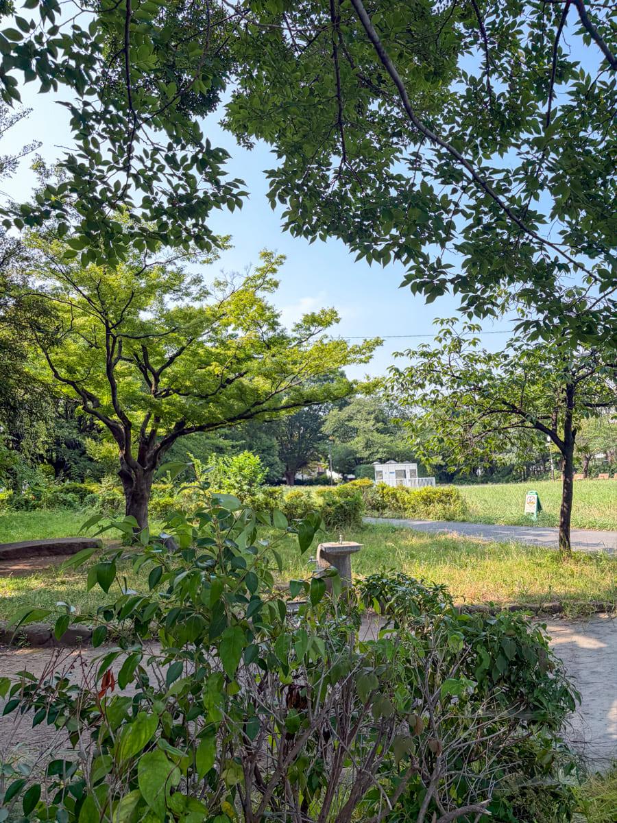 世田谷区池尻の賃貸物件/建物に隣接する東山公園。散歩や一休みにも丁度いいサイズ感