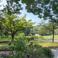 世田谷区池尻の賃貸物件/建物に隣接する東山公園。散歩や一休みにも丁度いいサイズ感