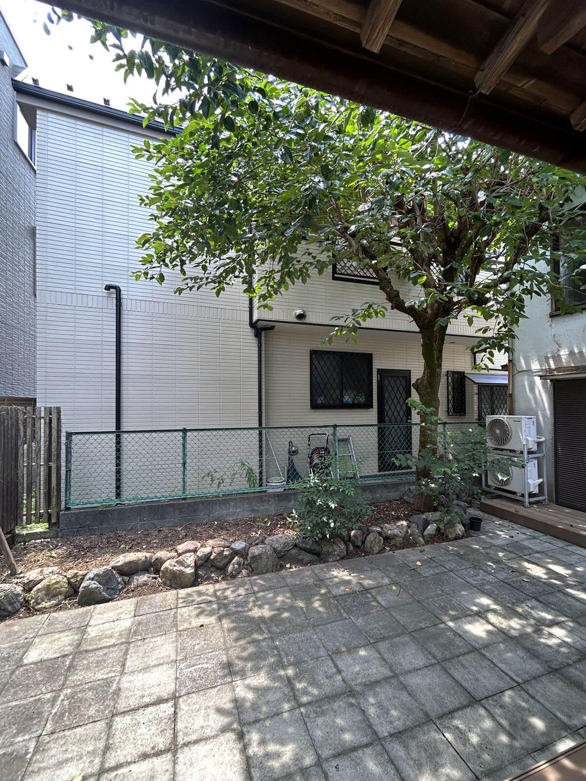 板橋区常盤台の賃貸物件/柿の木が大きく枝を広げた庭をキッチンから眺める