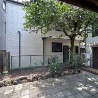 板橋区常盤台の賃貸物件/柿の木が大きく枝を広げた庭をキッチンから眺める