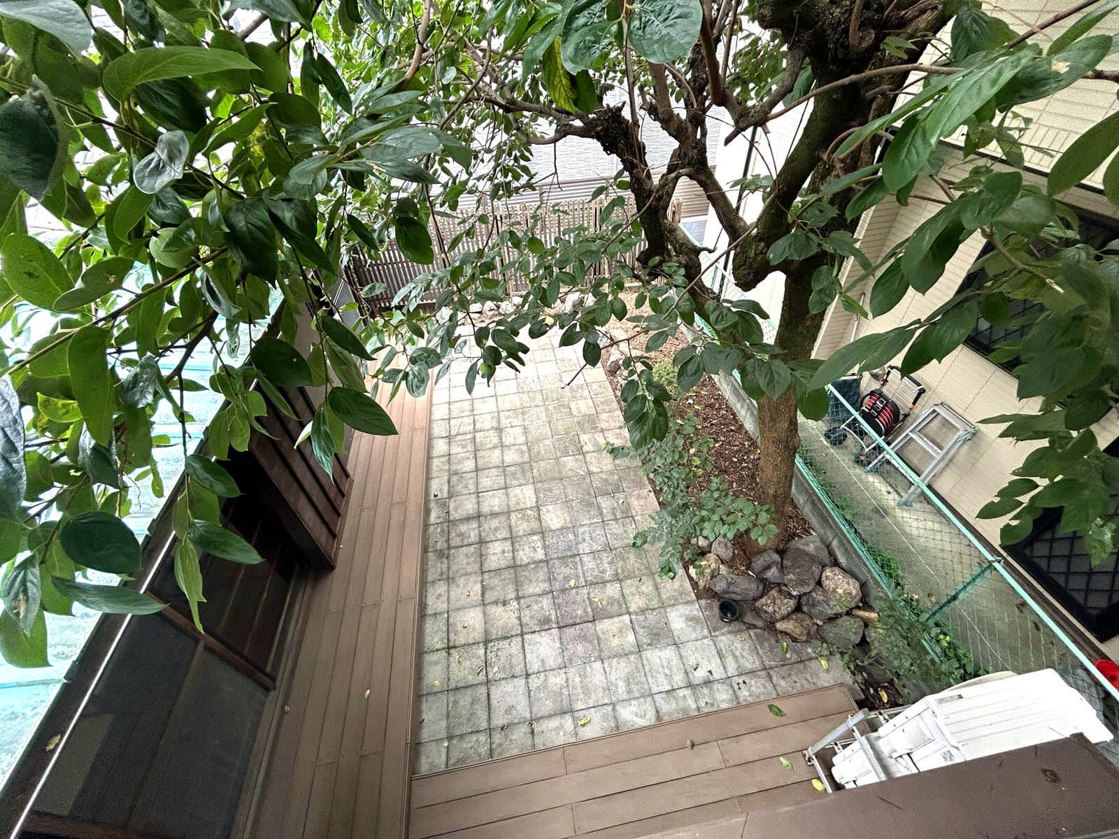 板橋区常盤台の賃貸物件/正面の窓から柿の木と庭を見下ろせます