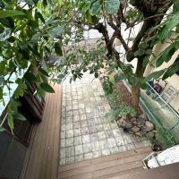 板橋区常盤台の賃貸物件/正面の窓から柿の木と庭を見下ろせます