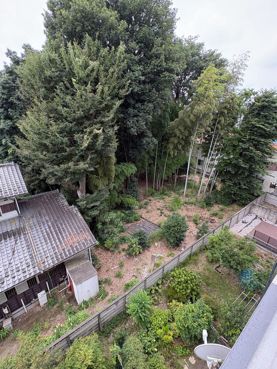 小金井市緑町の売買物件/建物1階部分には庭があり、となりの敷地とはけっこうスペースがある