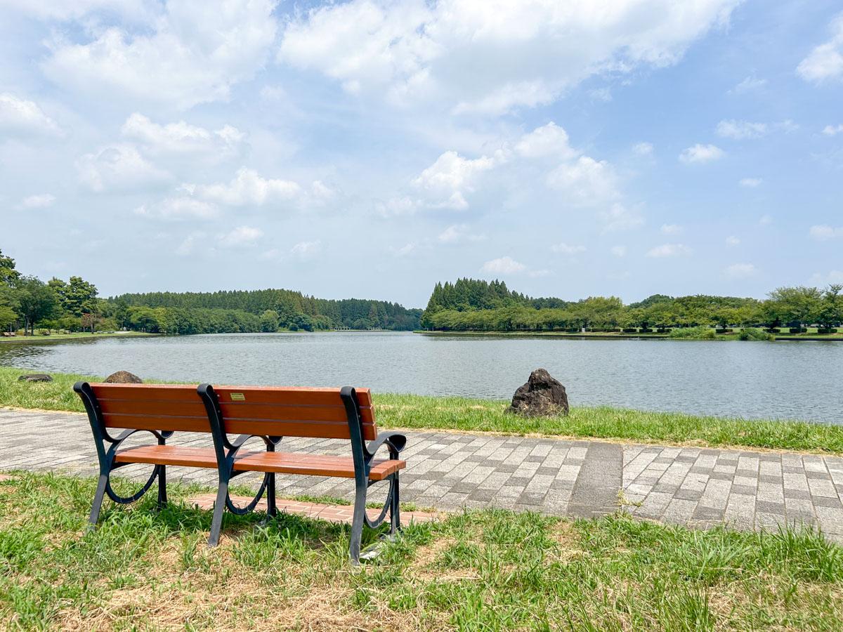 葛飾区東水元の賃貸物件/近所にある水元公園。東京とは思えないほど、豊かで美しい自然が広がっています