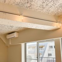 渋谷区代々木の売買物件/天井は躯体あらわしで開放的