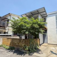 三鷹市下連雀の売買物件/外観を別のアングルで。大きく育ったアオダモが周りの視線を遮ってくれるのも嬉しい