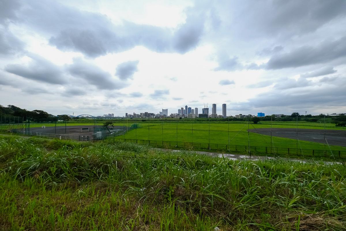 大田区田園調布の賃貸物件/土手までは歩いてすぐ。野球グラウンドが何面も広がる、平和な風景