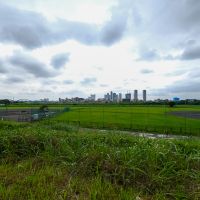 大田区田園調布の賃貸物件/土手までは歩いてすぐ。野球グラウンドが何面も広がる、平和な風景