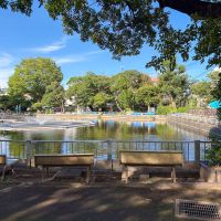 目黒区目黒本町の賃貸物件/マンションから歩いてすぐの清水池公園