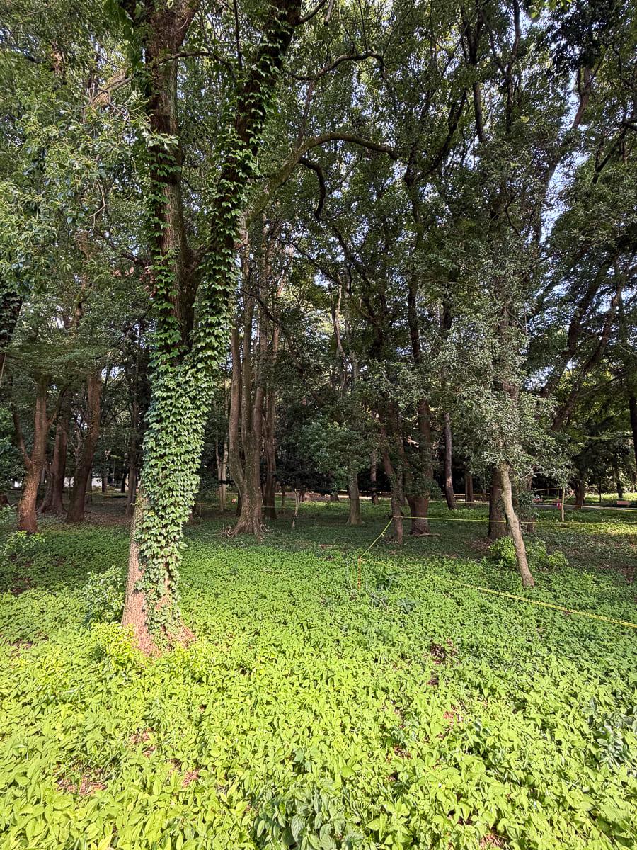 世田谷区大蔵の賃貸物件/広大な敷地を誇る舎人公園は目と鼻の先。中には売店やキッチンカーも充実しています。庭のように使い込みたい