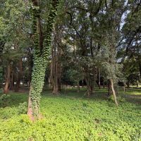 世田谷区大蔵の賃貸物件/広大な敷地を誇る舎人公園は目と鼻の先。中には売店やキッチンカーも充実しています。庭のように使い込みたい