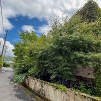  静岡県伊豆市修善寺の売買物件/北西角から見た外観。外壁には蔦が茂ります