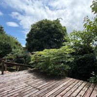  静岡県伊豆市修善寺の売買物件/開放的なウッドデッキ。こんもりと茂る丸い木はヤマモモ