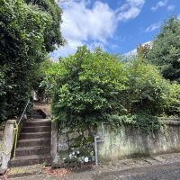  静岡県伊豆市修善寺の売買物件/敷地南側には広い庭が広がります。階段は南側の道路からアプローチする通用口