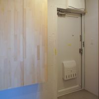 千葉県市川市行徳駅前の賃貸物件/705：土間仕上げの玄関。横には大きめの収納あり
