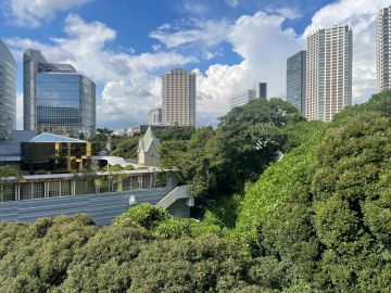 目黒区下目黒の賃貸物件/雅叙園からの風