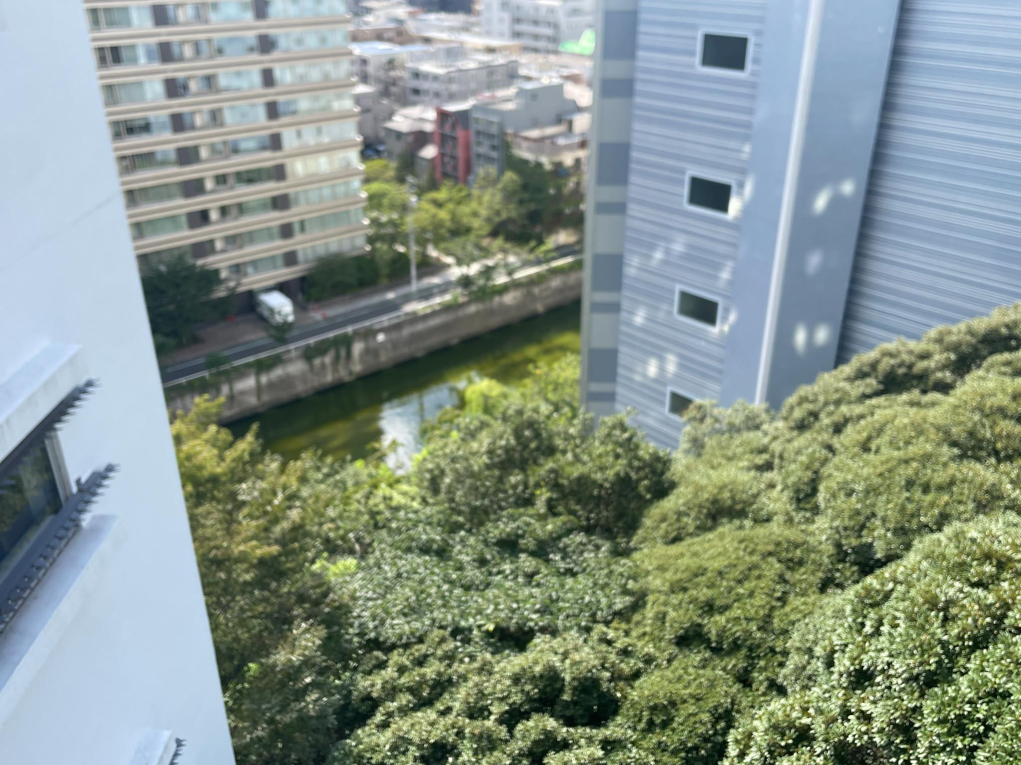 目黒区下目黒の賃貸物件/見下ろせば目黒川もちらりと見えます