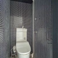 渋谷区猿楽町の賃貸物件/ウォシュレットトイレ。壁は表情を変えて黒タイル