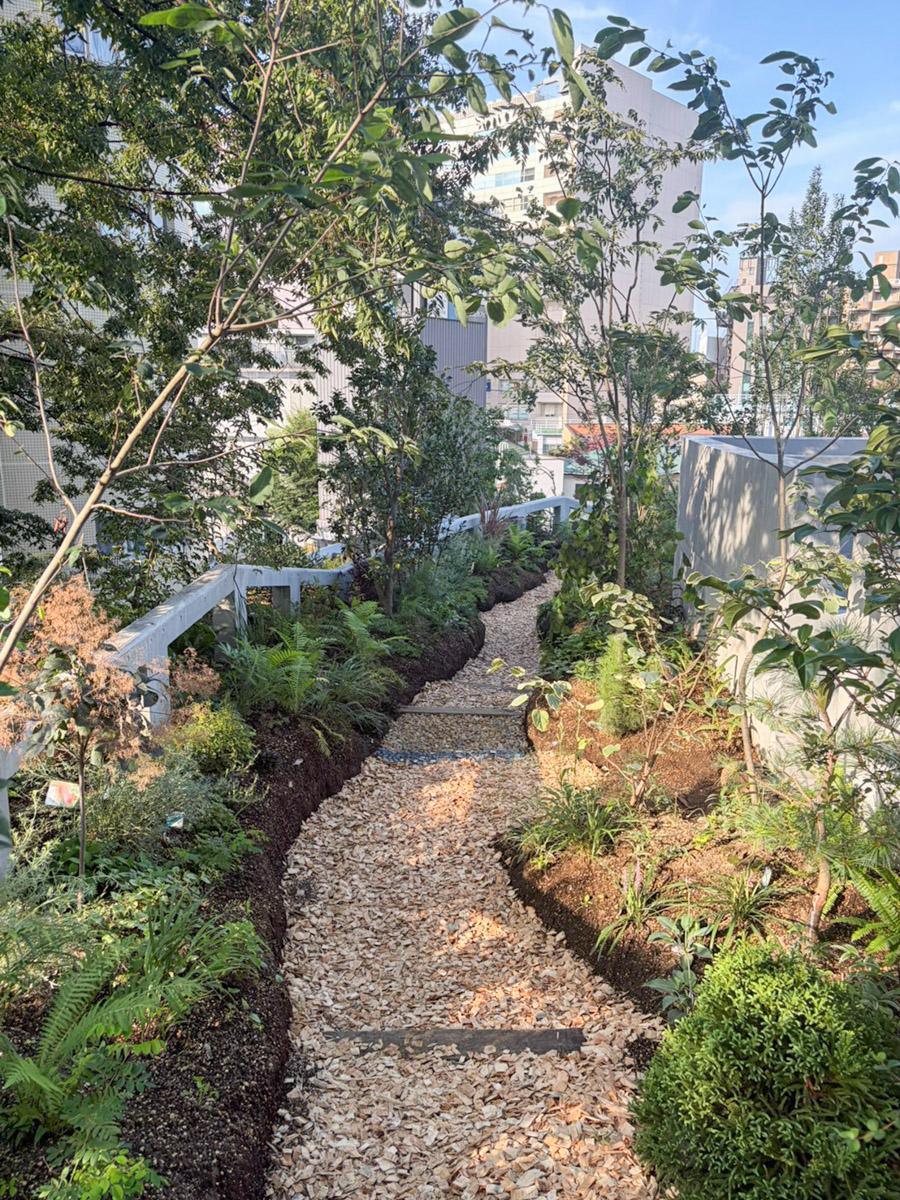 神奈川県川崎市高津区久本の賃貸物件/建物の最上部には、植栽豊かな屋上庭園が