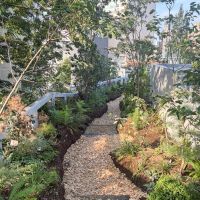 神奈川県川崎市高津区久本の賃貸物件/建物の最上部には、植栽豊かな屋上庭園が