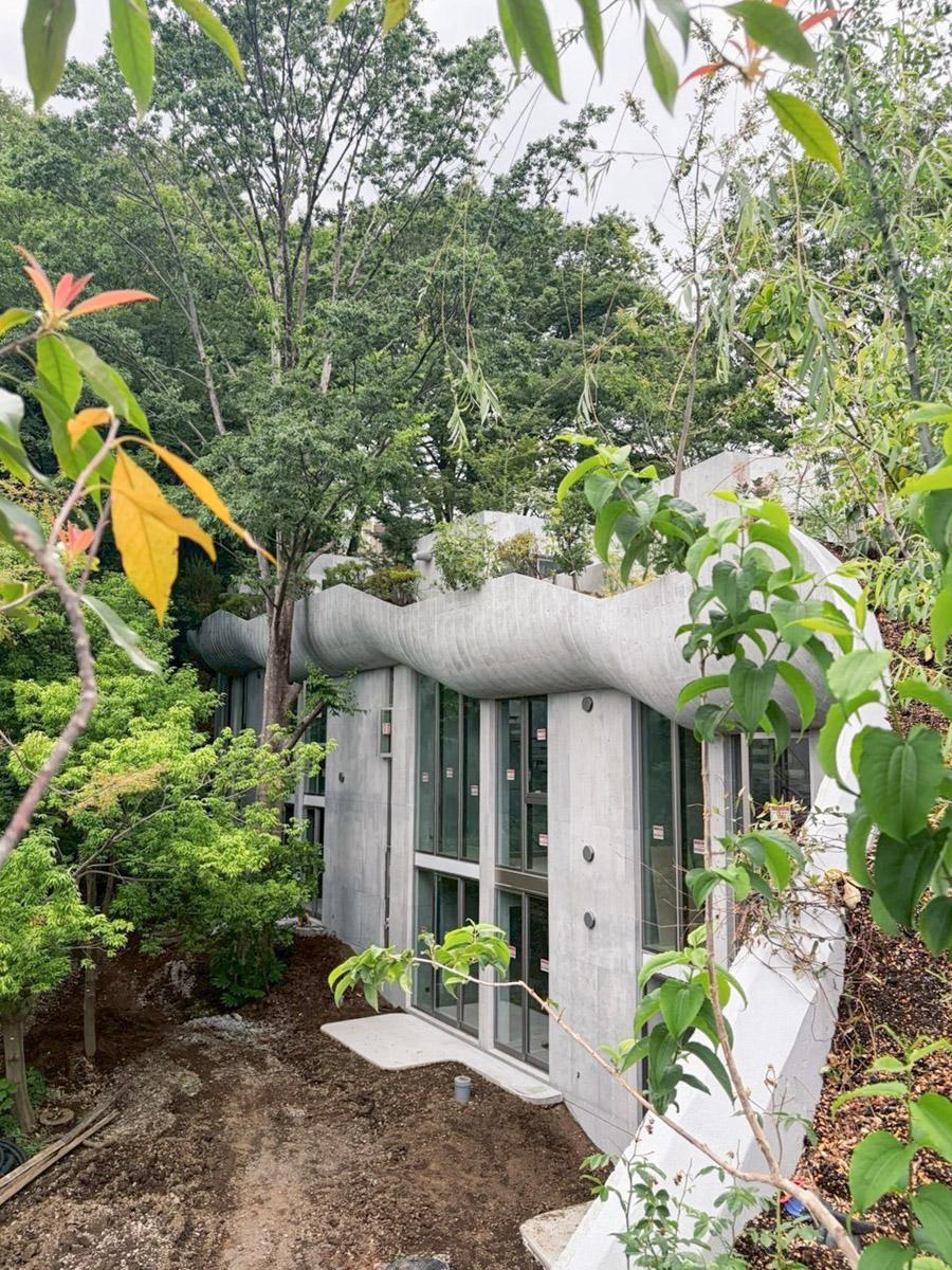 神奈川県川崎市高津区久本の賃貸物件/これからも新たな植栽が加わり、風景が変わっていく楽しみがあります