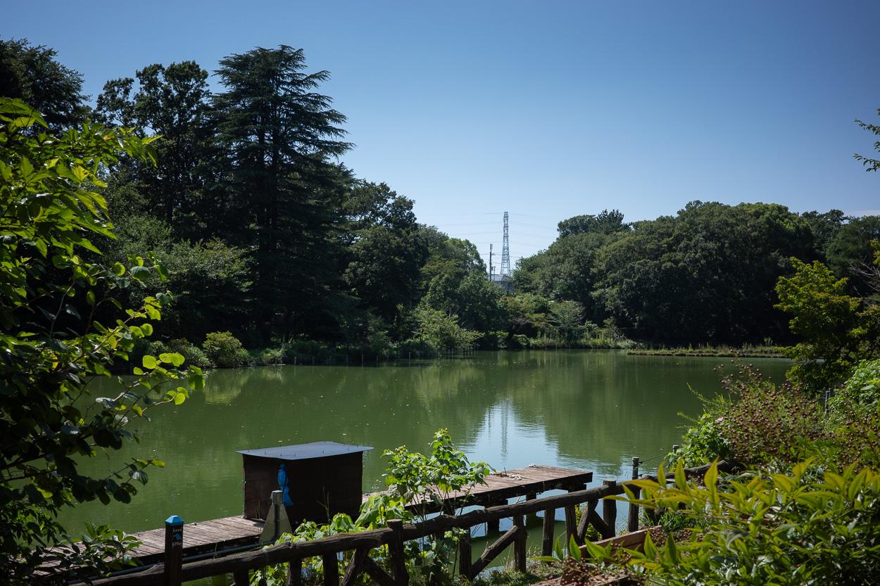 杉並区西荻北の賃貸物件/少し歩くと自然豊かな善福寺公園もあります