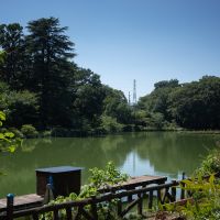 杉並区西荻北の賃貸物件/少し歩くと自然豊かな善福寺公園もあります