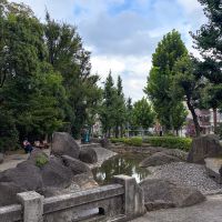 文京区小石川の賃貸物件/マンション目の前の池。エントランスを出て1分もかかりません