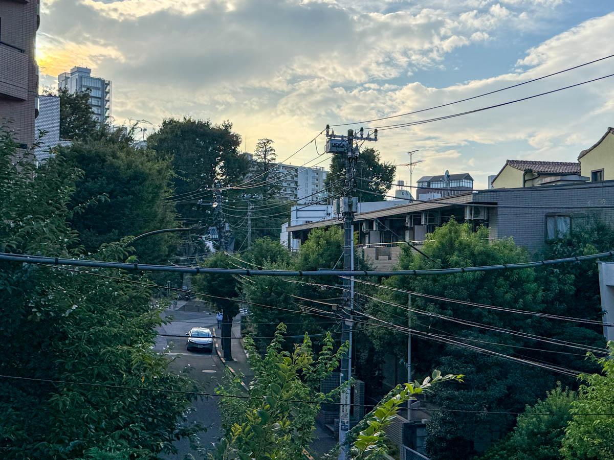 渋谷区松濤の賃貸物件/バルコニーからの眺望。鍋島松濤公園や隣地の庭など、渋谷からほど近いとは思えないほど緑が多いのがうれしい