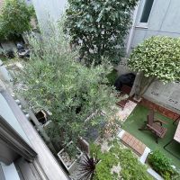 港区南青山の賃貸物件/7畳洋室：窓の外を見下ろすと、1階の区画の庭が見えます
