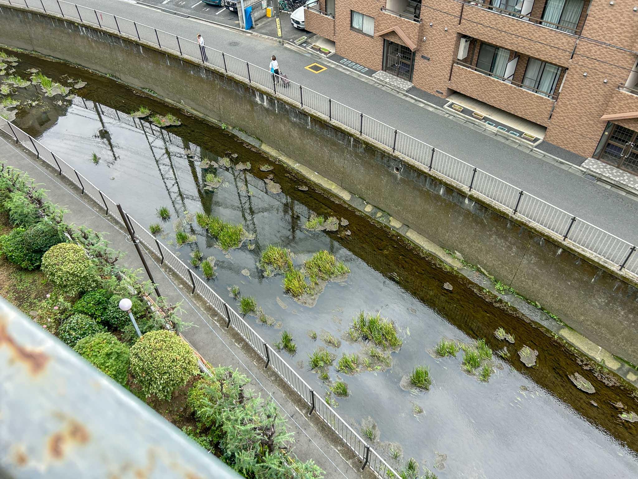 杉並区上荻の賃貸物件/下を覗くと善福寺川