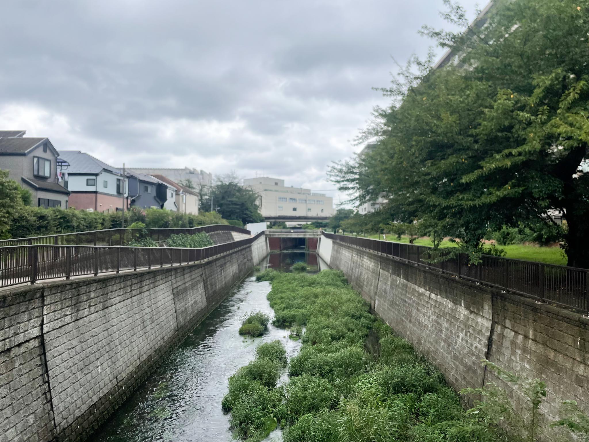 練馬区石神井台の賃貸物件/マンションの目の前をゆったり流れる「石神井川」
