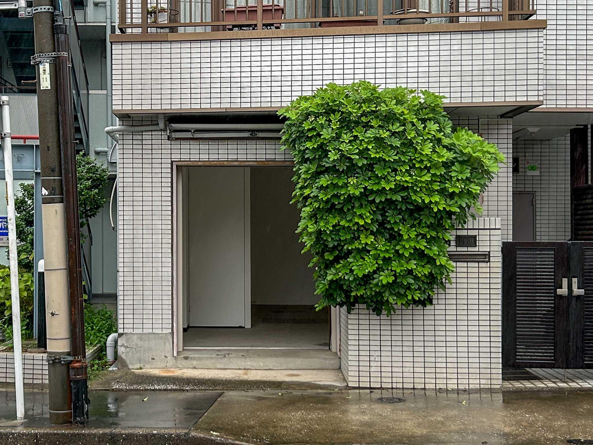 江東区常盤の賃貸物件/東側出入り口を外から