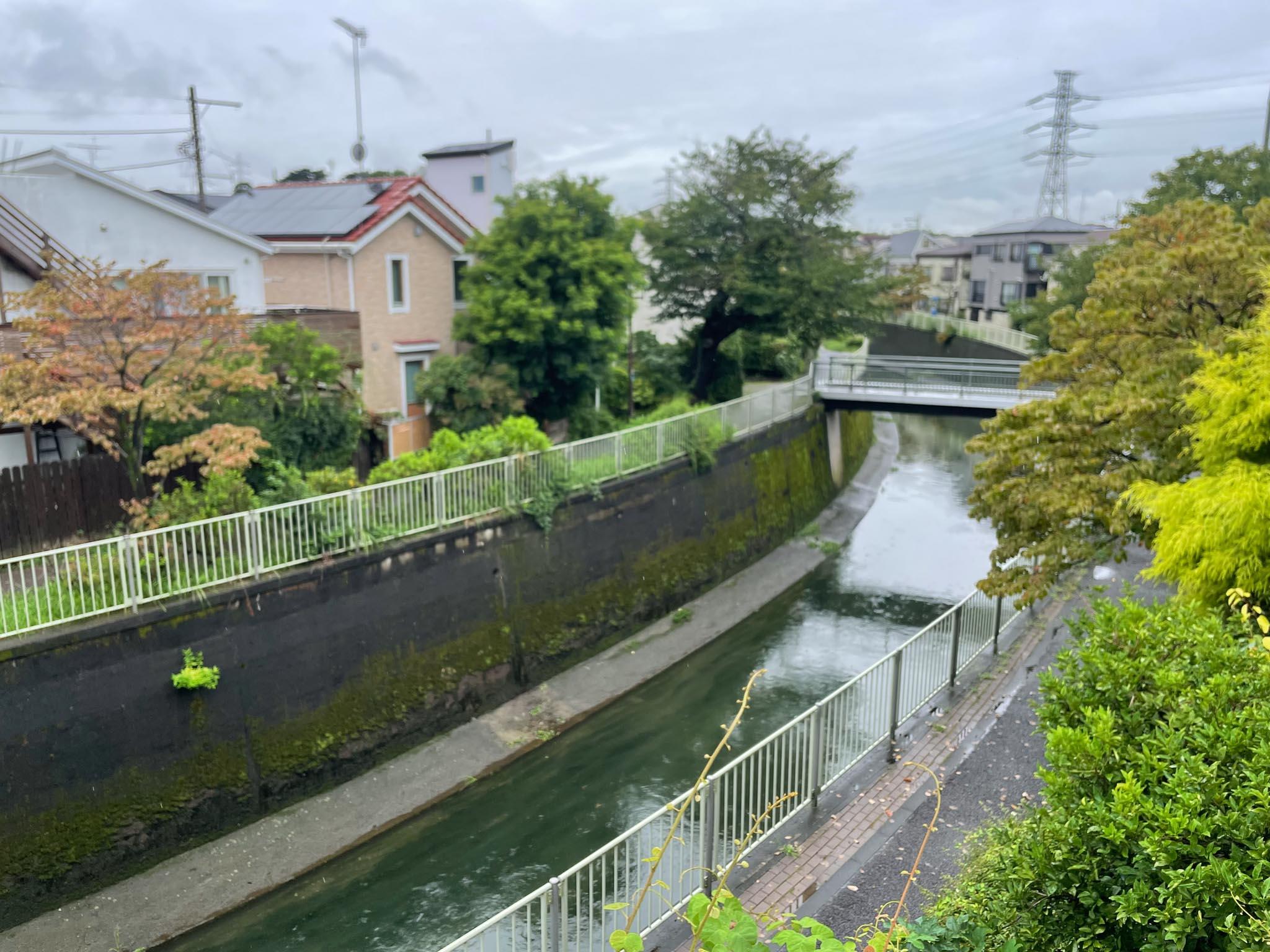 杉並区浜田山の賃貸物件/2F、南側：窓の外には神田川がゆったりと流れています
