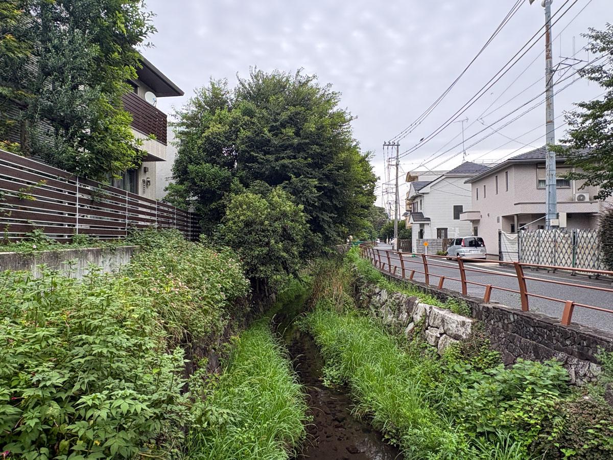 世田谷区尾山台の賃貸物件/川の雰囲気