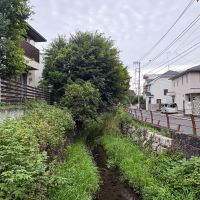 世田谷区尾山台の賃貸物件/川の雰囲気