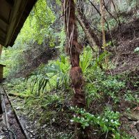 群馬県藤岡市三波川の売買物件/校舎の裏手は山が迫るようなかたち