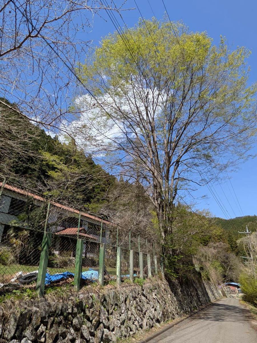 群馬県藤岡市三波川の売買物件/道路側から見て