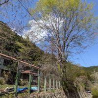 群馬県藤岡市三波川の売買物件/道路側から見て