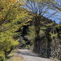 群馬県藤岡市三波川の売買物件/この坂道を上っていきます。右手が学校、左手に渓流