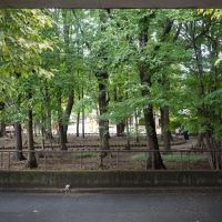 中野区上鷺宮の賃貸物件/エントランス。木々の景色が落ち着く