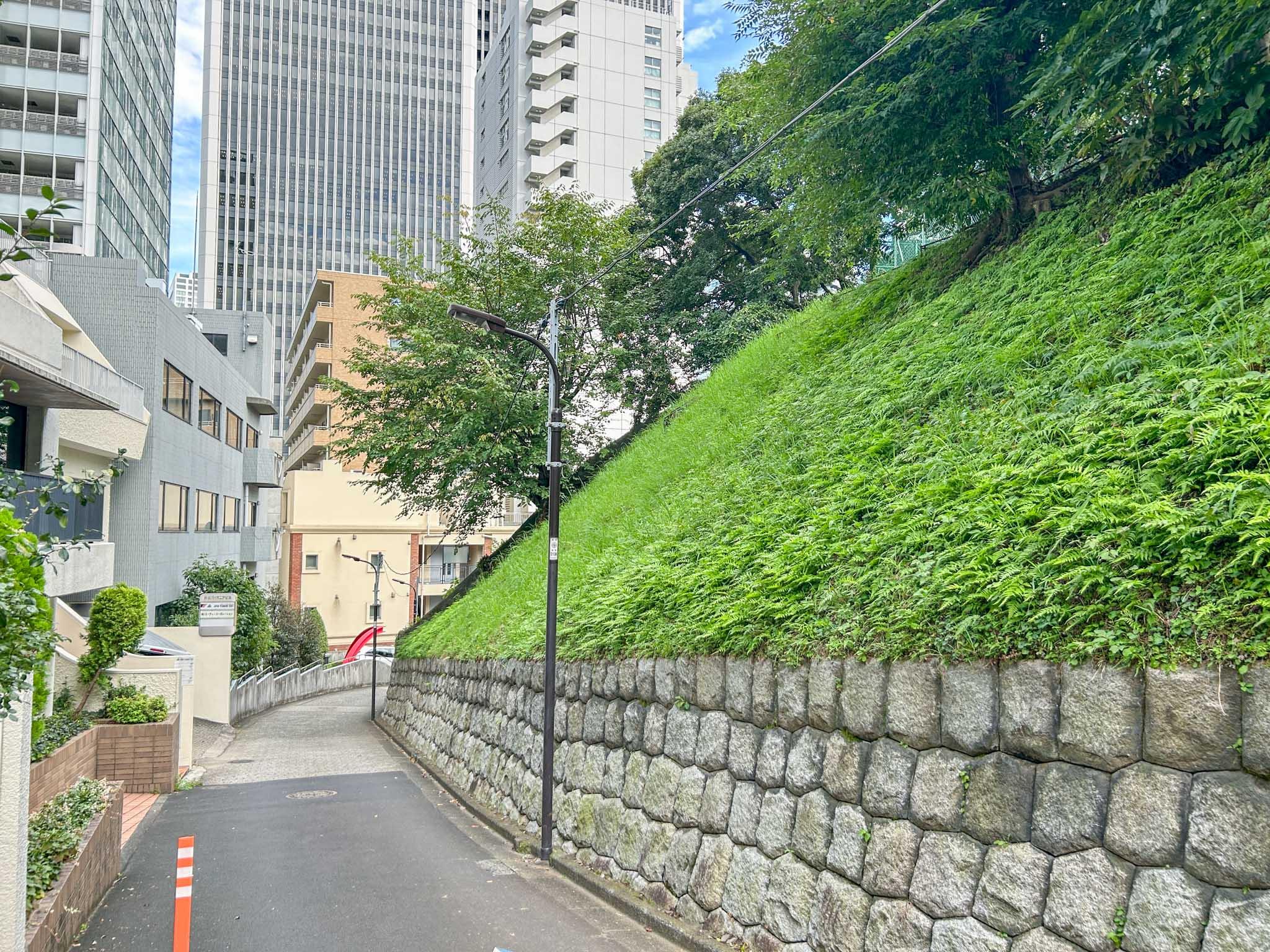 港区赤坂の賃貸物件/窓の先に広がる緑の斜面