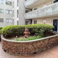 文京区春日の賃貸物件/土偶がひょっこりと佇んでいます