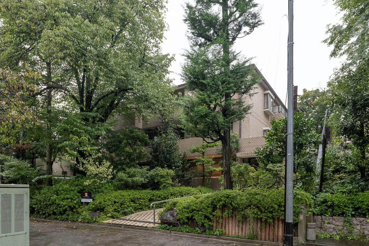 練馬区石神井町の賃貸物件/外観。植栽に覆われていますがレトロな低層マンションです
