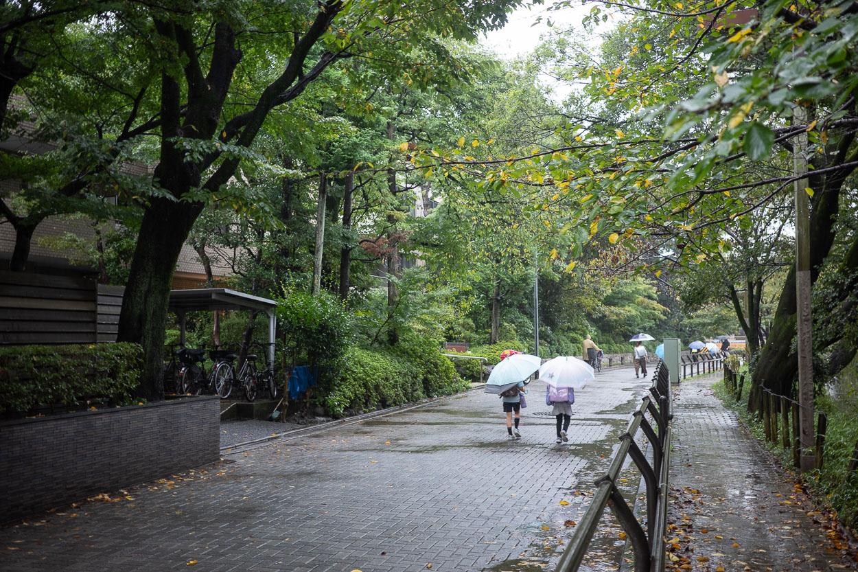 練馬区石神井町の賃貸物件/エントランスを出ると石神井公園沿いの穏やかな景色が広がります