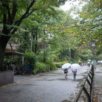 練馬区石神井町の賃貸物件/エントランスを出ると石神井公園沿いの穏やかな景色が広がります